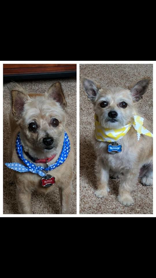 Readers pet photos